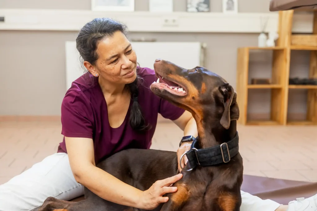 Fortbildung / Ausbildung Tierphysiotherapie Vierbeiner Reha-Zentrum Bad Wildungen